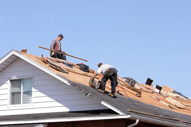 Best Skylight Installation and Repair  in Blue Rapids, KS